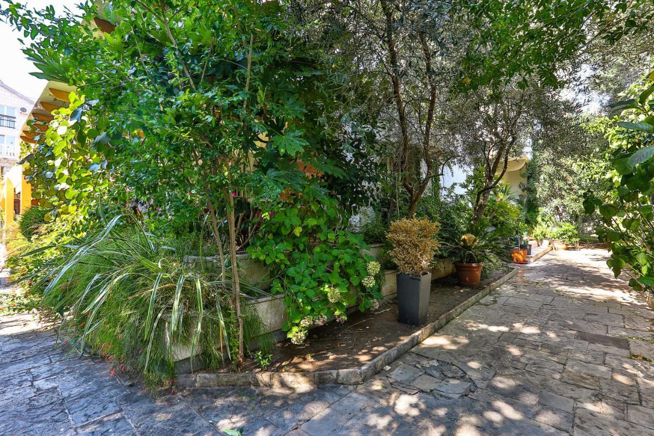 Villa Velzon Guesthouse Budva Kültér fotó